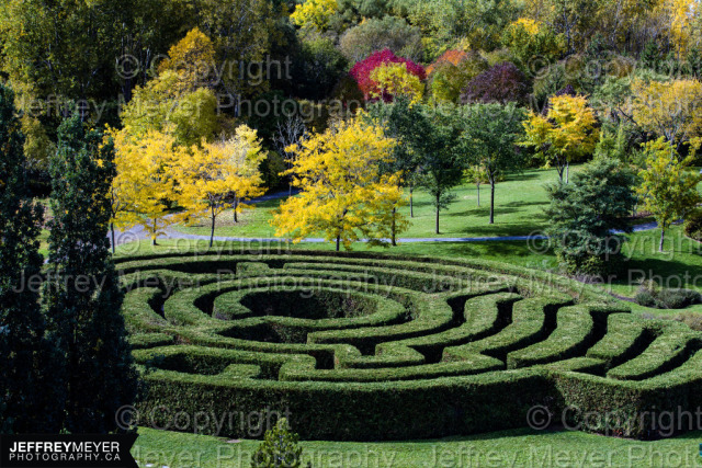 Maze at Domaine Maizerets